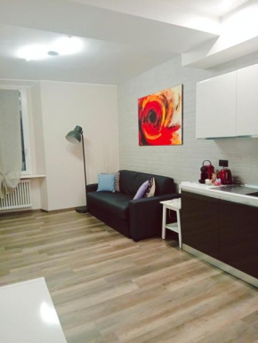 Central beautiful flat Como